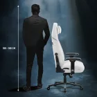 DIABLO X.Eye Prime gamer szék, Normal Size, Ghosted White 