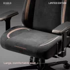 DIABLO X-Eye 2.0 gamer szék, Normal Size, Ultra Black