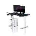 DIABLO X-Forge 1200 elektromos gamer asztal, 120 x 70 cm, fekete-fehér