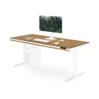 JAN NOWAK ELLIS elektromosan állítható magasságú íróasztal, 160x70 cm, fehér-aranytölgy