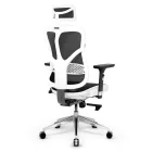 DIABLO V-BASIC ergonomikus irodai szék, fehér-fekete