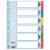 ESSELTE Regiszter, laminált karton, A4, 6 részes, ESSELTE "Mylar", színes