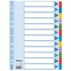  ESSELTE Regiszter, laminált karton, A4, 12 részes, ESSELTE "Mylar", színes 