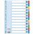 ESSELTE Regiszter, laminált karton, A4, 12 részes, ESSELTE "Mylar", színes