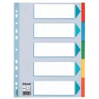 ESSELTE Regiszter, karton, A4, 5 részes, írható előlappal, ESSELTE "Standard", színes 