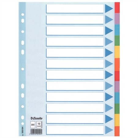 ESSELTE Regiszter, karton, A4, 12 részes, írható előlappal, ESSELTE "Standard", színes 