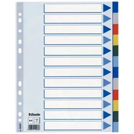 ESSELTE Regiszter, műanyag, A4, 20 részes, ESSELTE
