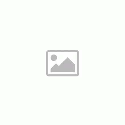 LEITZ Irattároló, laminált karton, 3 fiókos, LEITZ "Click&Store", fekete