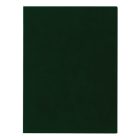 VICTORIA Oklevéltartó, plüss, A4, VICTORIA, zöld