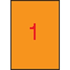   APLI Etikett, 210x297 mm, színes, APLI, neon narancs, 100 etikett/csomag