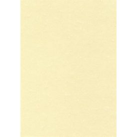   APLI Előnyomott papír, A4, 95 g, pergamen hatású, APLI, pezsgő