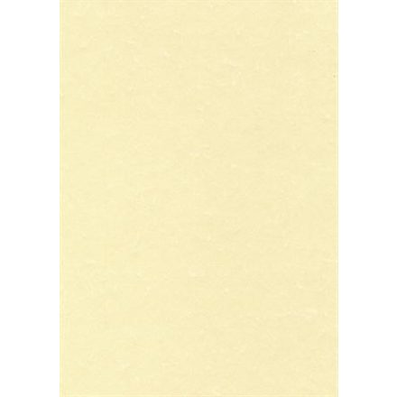 APLI Előnyomott papír, A4, 95 g, pergamen hatású, APLI, pezsgő