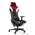 UNIQUE PITLANE gamer szék