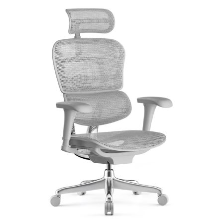 ANTARES ERGOHUMAN II Project ergonomikus irodai szék, Szürke