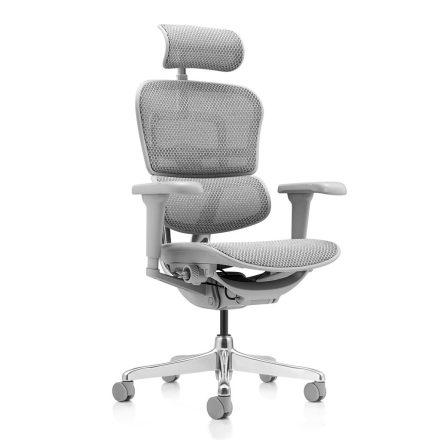 ANTARES ERGOHUMAN Ultra II ergonomikus irodai szék - Szürke váz, szürke háló