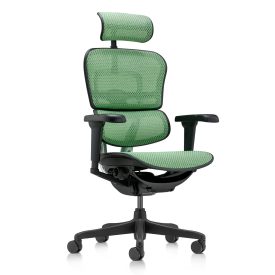   ANTARES ERGOHUMAN Ultra II ergonomikus irodai szék - Fekete váz, zöld háló