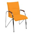 ANTARES Sabina TC tárgyalószék