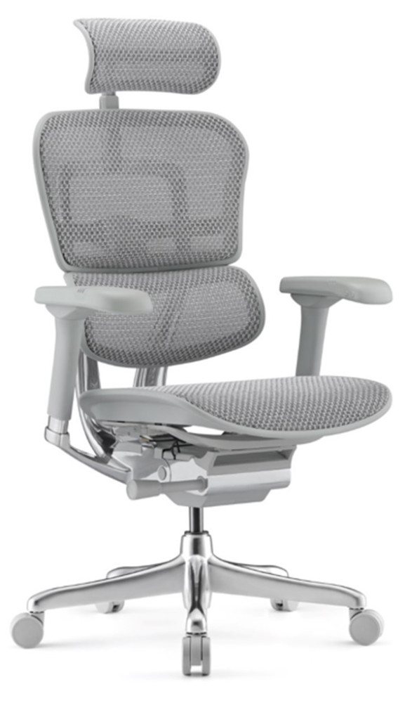 ANTARES ERGOHUMAN II Elite ergonomikus irodai szék, Szürke váz-szürke háló